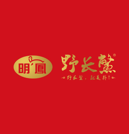 明鳳品牌全案服務